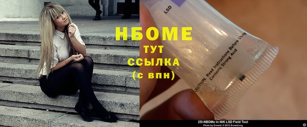 гидра Горнозаводск